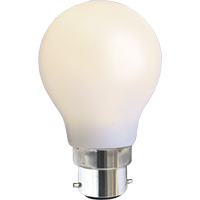 LED Lamp B22 A55 Outdoor Lighting