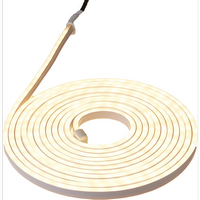 Стрічка Neoled