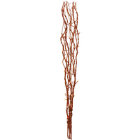 Декоративна верба