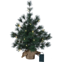 Декоративне дерево Furu