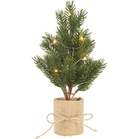 Декоративне  дерево Bodal