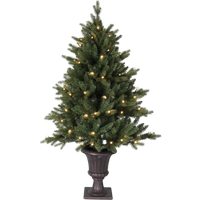 Декоративне дерево Byske