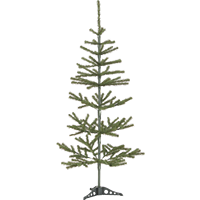 Різдвяна ялинка Jylle