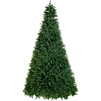 Різдвяна ялинка Calgary