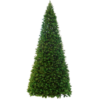 Різдвяна ялинка Colorado