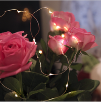 Гирлянда Dew Drop