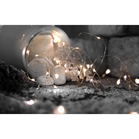 Гирлянда Dew Drop