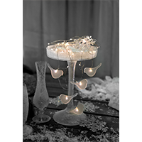 Гирлянда Dew Drop 1м пташки